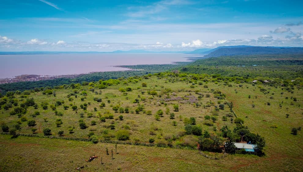 Vacant Land / Plot for Sale in Manyara Overlooking The National Park