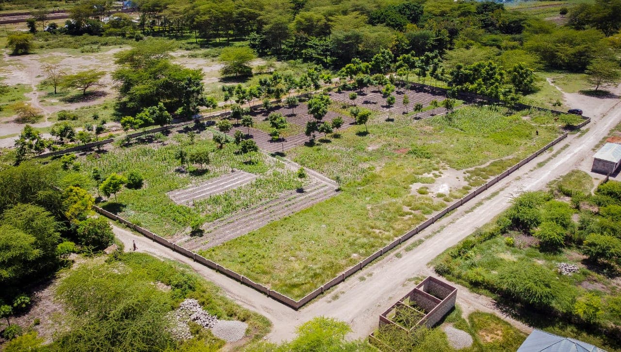 Plot for Sale at Mto wa mbu, Barabarani area, Manyara